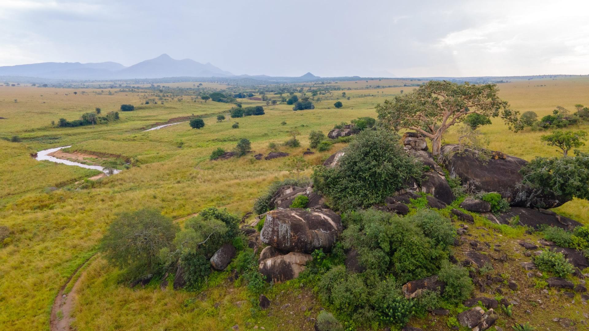 Open savannah, rock outcrops and distant mountains in Kidepo Valley
