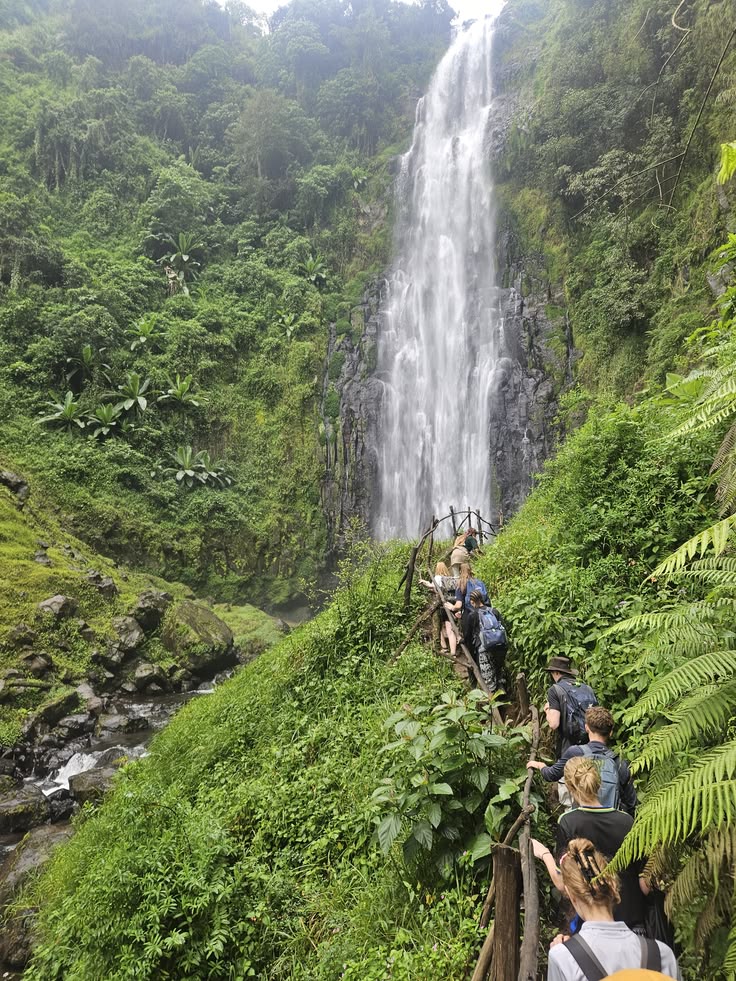 Walkers climbing a steep path beside a tall waterfall falling through green hillside